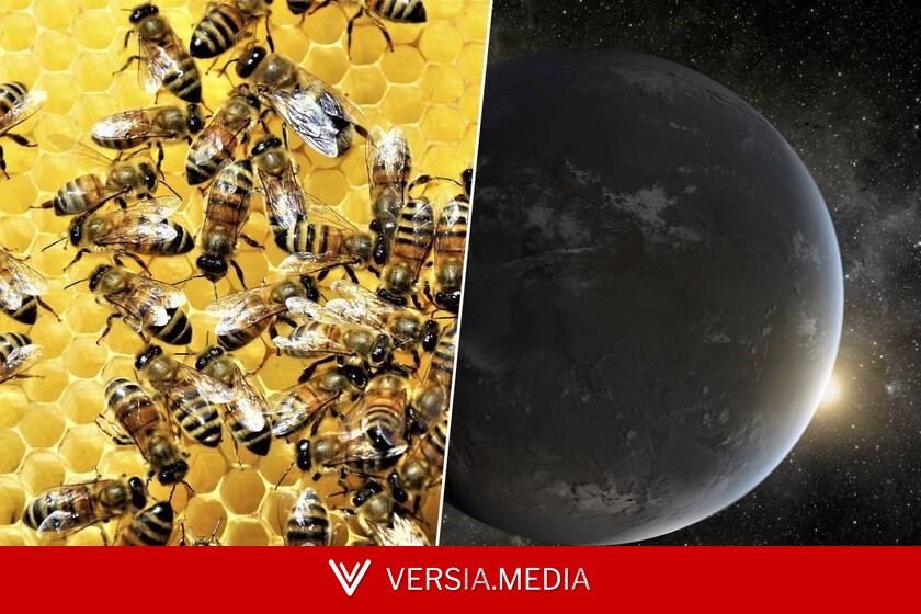El plan para encontrar vida extraterrestre en 2040 pasa por un enjambre de naves espaciales trabajando en equipo