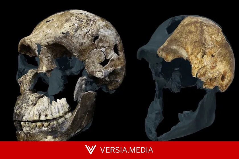 El yacimiento fósil más controvertido de la evolución humana se ha vuelto aún más desconcertante: ¿Por qué solo hay mujeres?